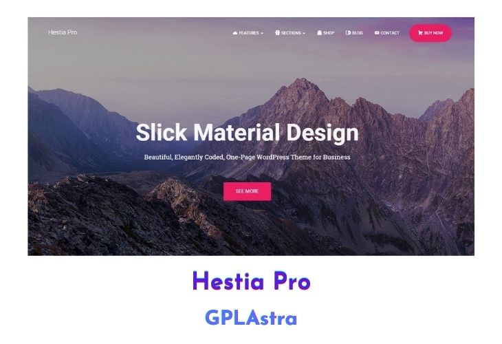 Hestia Pro
